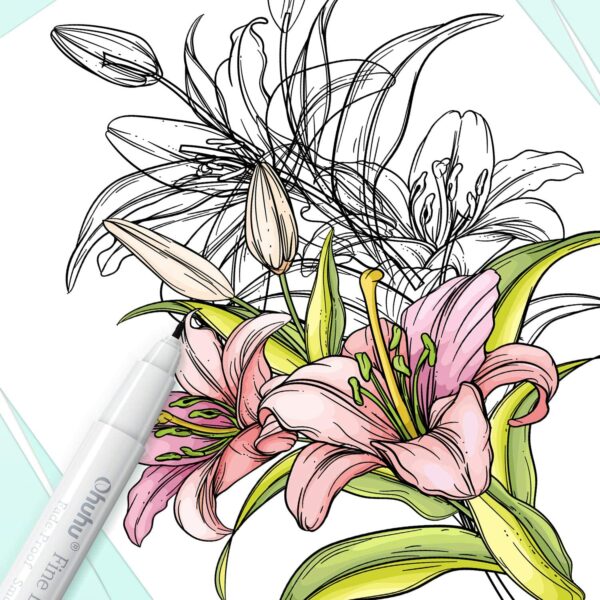 Ohuhu Art Markers Dual Tip Fine & Chisel Oahu Series 320 Colours PLUS Ohuhu FineLine Drawing Pen Set of 8 - Image 5